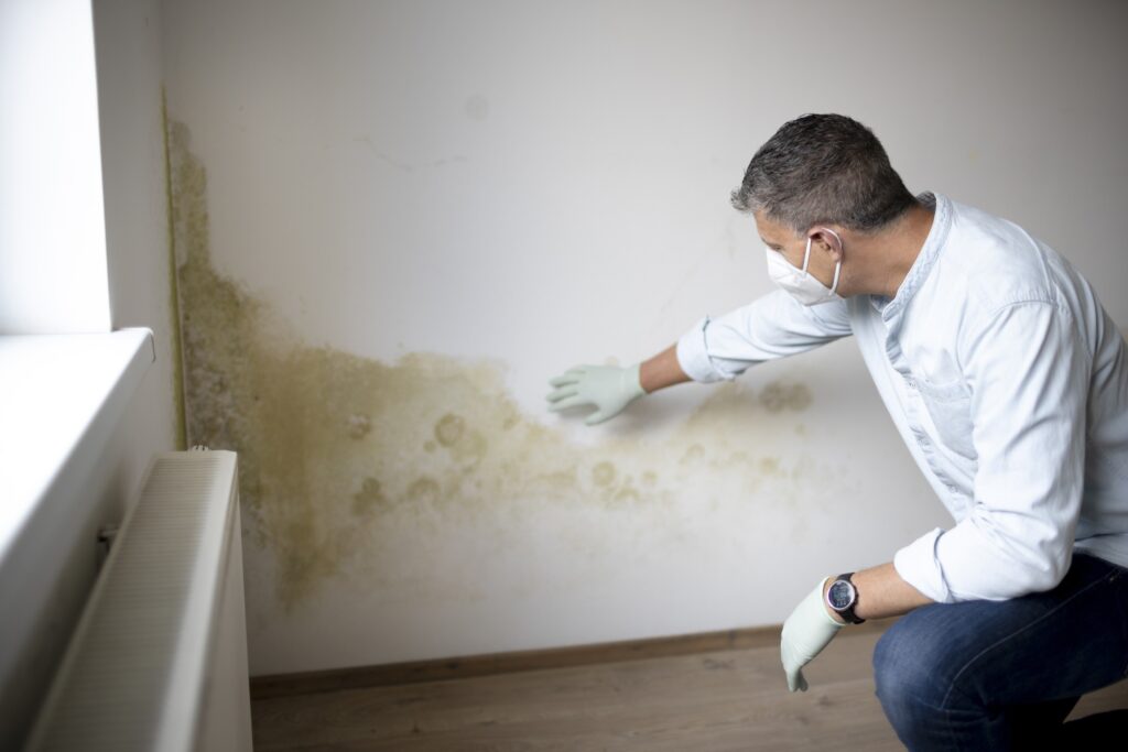 A man in gloves and a mask, kneeling to inspect damp on a white interior wall of a house.